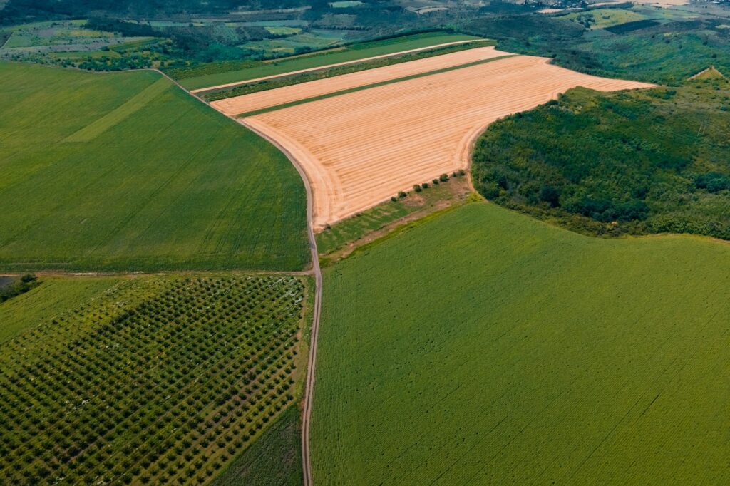 aerial view of green agricultural land with different crops.